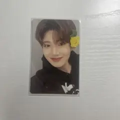 TREASURE ジュンギュ トレカ