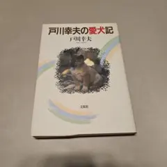 Item thumbnail for item bf33d5e4-8c74-449a-bfd9-1901ced88cb4