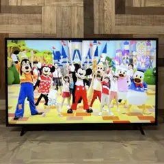全国送料込❣️アイリスオーヤマ50型4Kチューナー内蔵液晶テレビ2番組