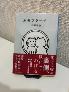 カモフラージュ