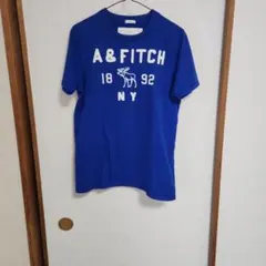 Abercrombie & Fitch Tシャツ M 青
