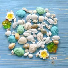 pp04 貝殻セット　シェルパーツ　デコレーション　工作　海　材料　diy 夏