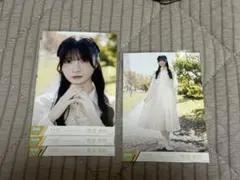 菅波美玲