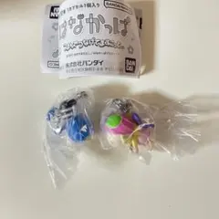 はなかっぱ つまんでつなげてますこっと ガチャガチャ