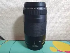 Canon EF 75-300mm Ⅱ型 超望遠レンズ 極美品のサムネイル