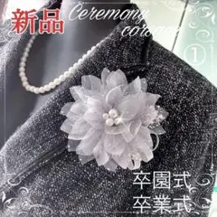 Item thumbnail for item e341bd0f-fc9e-4931-ae22-a4ca26302e5f