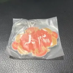 ヨルシカ ライブ ガチャ 一人称 太陽