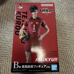 黒尾鉄朗 フィギュア ゴミ捨て場の決戦2 (ラストワン&B賞)
