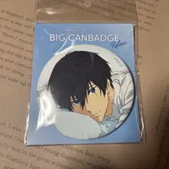 七瀬遙 FS 後編 ビッグ 缶バッジ 19個セット 七瀬遙 FS 後編 ビッグ 缶バッジ - メルカリ