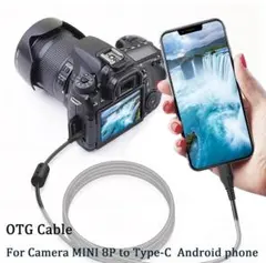 Item thumbnail for item a7673813-e469-45e8-875b-dbe42a7f39d4