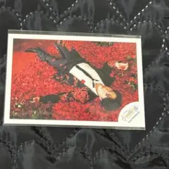 SnowMan 宮舘涼太 ミニフォトステッカー