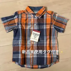 Item thumbnail for item cbfb9420-1255-4a6a-af8c-3a631f318f64