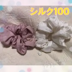 Item thumbnail for item 230cef77-fc78-4d94-8e5f-4bfaa0778a46