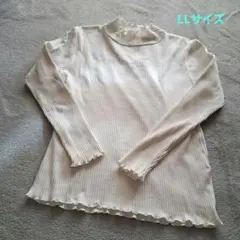 Item thumbnail for item 8102d50b-3d83-48cb-b030-a2d8d9a188db