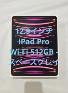 iPad Pro 512GB -スペースグレイ
