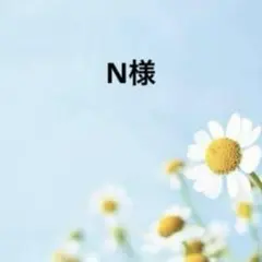 N様