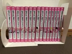 総長さま、溺愛中につき。 ￼1-13巻＋スペシャル 15巻セット