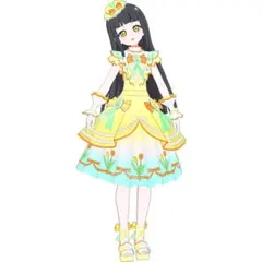 酢酸カーミン液様 リクエスト 2点 まとめ商品