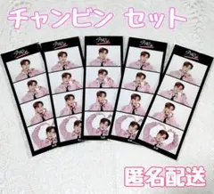 【新品・未開封】Stray Kids イルデ2周年記念 ステッカー チャンビン