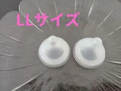 Item thumbnail for item 4286af56-e114-4eda-8178-d04d1432ec49