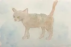 水彩画 猫の絵 ドローイング ポストカード ハガキ