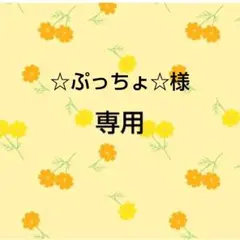 ☆ぷっちょ☆様　おまとめ品専用出品