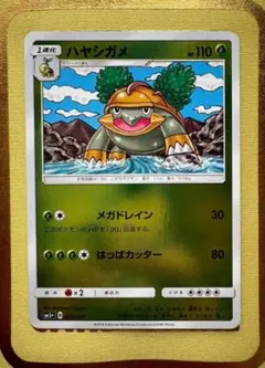 【希少ミラー！】ハヤシガメ SM5+ ウルトラフォース 002/050のサムネイル