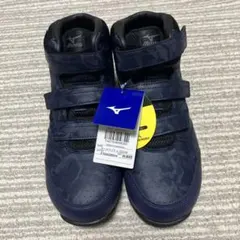 Item thumbnail for item cc7fed80-51a6-42bb-95d6-b4304cf4ba0b