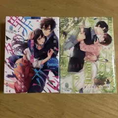 罪の名は、恋　2冊セット tl小説 文庫