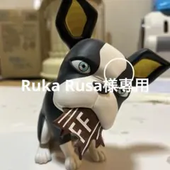 Ruka Rusa様専用