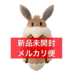 ボタンのイーブイリュック 新品未開封品【受注生産】 Amazon | ポケモンセンターオリジナル ボタンのイーブイリュック
