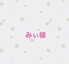 みぃ様 専用