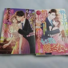 6月新刊 ルネッタブックス - メルカリ
