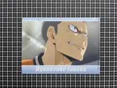 ハイキュー!! 田中龍之介 A6クリアファイル