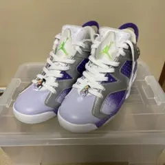 ナイキ エアジョーダン6 ゴルフシューズ Air Jordan 6 Low G