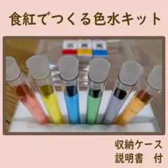 食紅でつくる色水キット　色うつし　洗濯ばさみ　モンテッソーリ　おうちモンテのサムネイル