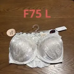 長期間保管品Lady rich ブラジャー ショーツ セット F75 Lのサムネイル