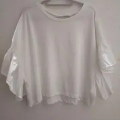 Item thumbnail for item a41d4085-a793-4c8a-8aa8-bac9f38e7296