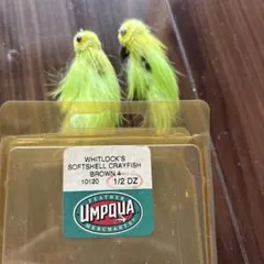 Item thumbnail for item 50bb668d-2e36-4df9-bf05-5115e63a5157