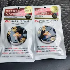 ターミナリアファースト プロフェッショナル4 120粒 × 2袋 - メルカリ
