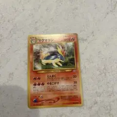 2026年最新】ポケモンカード マグマラシ 008/T トレーナーズの人気
