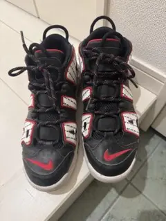 Item thumbnail for item 2ee9f19b-33df-4a7f-bfaf-618180756d37