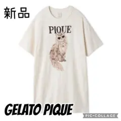ジェラートピケ シーズー ジャガードワンピース ネイビー 新品 犬柄