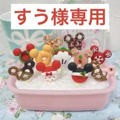 すう様専用！！