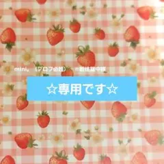 mini。（プロフ必読）　※断捨離中様 リクエスト 2点 まとめ商品