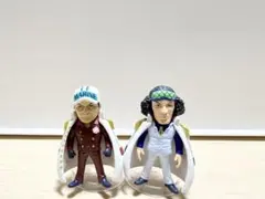 ワンピの実 2種セット