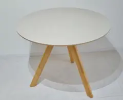 さわの様専用　HAY CPH20