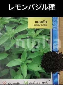 ★KP★様 リクエスト 4点 まとめ商品