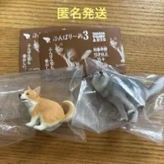 ふんばり〜3 シベリアンハスキー　コーギー　セット