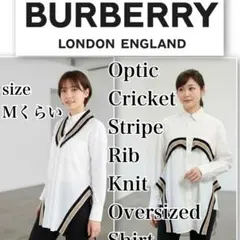 Item thumbnail for item 47bebc3f-92d8-4931-a388-bddac7489d64